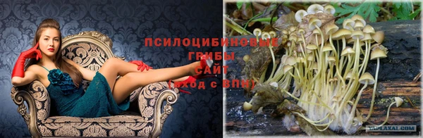 соль ск Няндома