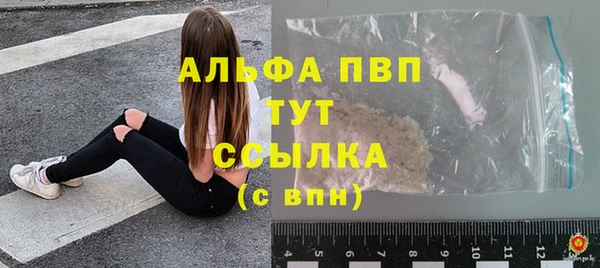 соль ск Няндома