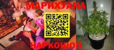 хмурый Гатчина