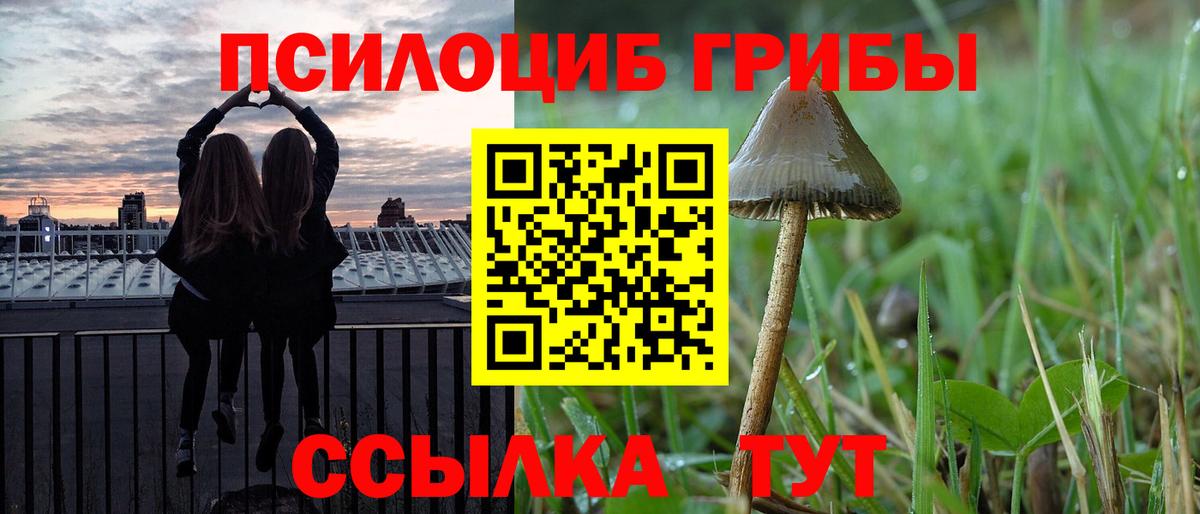 Галлюциногенные грибы мицелий Ипатово