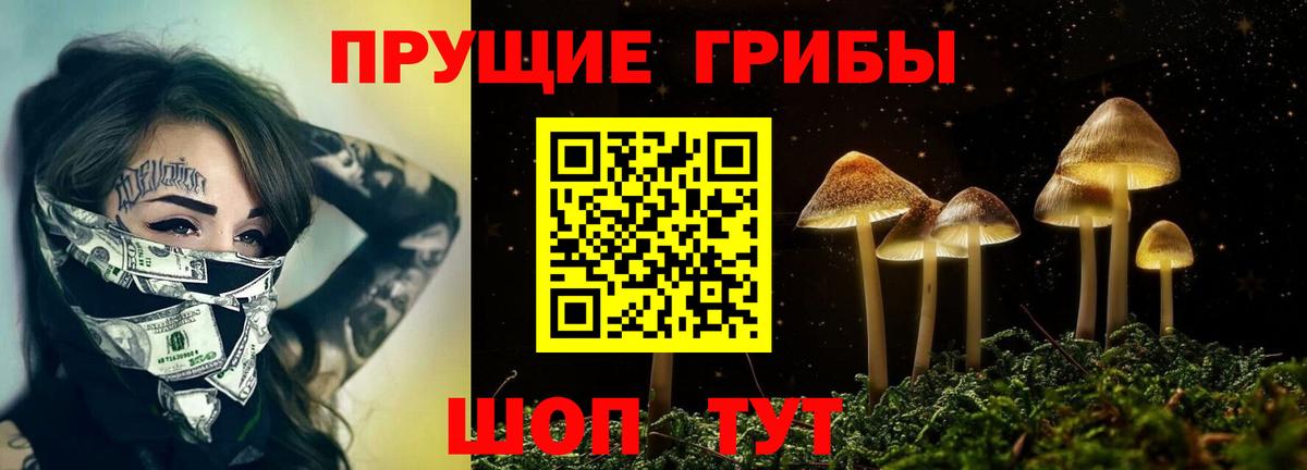 Псилоцибиновые грибы Psilocybine cubensis  Вход с VPN  Псилоцибиновые грибы Psilocybine cubensis  Ипатово 